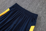 2025/26 Santos Dark Blue Vest Training Jersey(A Set)