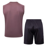 2025/26  ARS Grey Purple Vest Training Jersey(A Set)