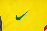 2026/27 Brazil Yellow Vest Training Jersey(A Set)