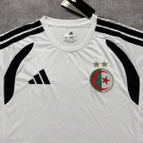 2026/27 Algeria Special Edition Fans Soccer Jersey