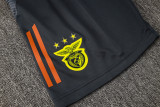 2025/26  Benfica Grey Vest Training Jersey(A Set)