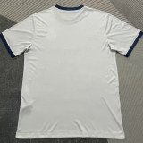 2025/26 Porto Special Version Fans Soccer Jersey