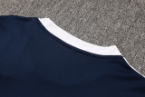 2025 Sao Paulo  White Sapphire Blue Training Jersey(A Set)