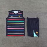 2024/25 France  Vest Training Jersey(A Set)