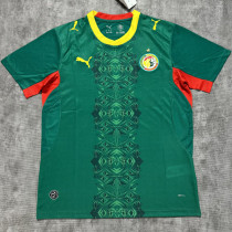 2026/27 Senegal Away Green Fans Soccer Jersey