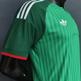 2026/27 Algeria Away Green Player Version Soccer Jersey