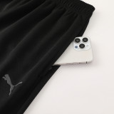 2025 Puma Grey Hoody Zipper Jacket