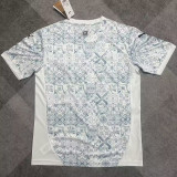 2025/26 Portugal Portugal x Iv Fans Soccer Jersey  彪马