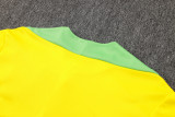 2025 Brazil Yellow Sweater Tracksuit