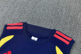 2026/27 Colombia Royal Blue  Vest Training Jersey (A Set)