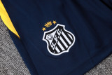 2025/26 Santos Dark Blue Vest Training Jersey(A Set)