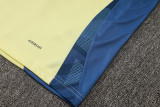 2025 AA Yellow Vest Training Jersey(A Set)