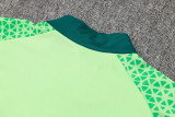 2025 Palmeiras Green Sweater Tracksuit