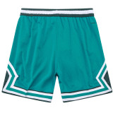 A2442 Jordan Casual Short Pants 水岸青