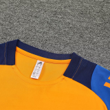 2025 AD~  Orange Training Jersey(A Set)