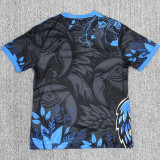2025/26 Brazil Special Edition Fans Soccer Jersey