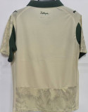 2025/26 Palmeiras Third Fans Soccer Jersey