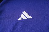 2024/25 Germany Purple Kids Sweater Tracksuit
