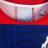 2019/20 Chivas Away Retro Long Sleeve Soccer Jersey