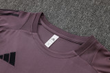 2025/26 ARS Grey Purple Training Jersey(A Set)
