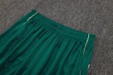 2025/26 AD Light Green Training Jersey(A Set)
