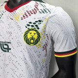 2026/27 Cameroon Away Whitre Player Version Soccer Jersey