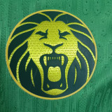 2025/26 Cameroon Home Green Player Version Soccer Jersey