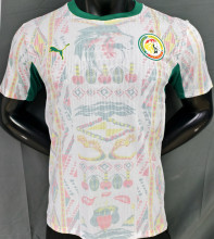 2026/27 Senegal Home White Player Version Soccer Jersey 1 星