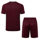 2025/26  Fluminense Red Training Jersey(A Set)