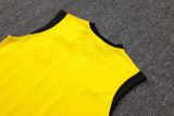 2026 BVB Yellow Vest Training Jersey (A Set)