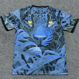 2025 Brazil Special Edition Fans Jersey