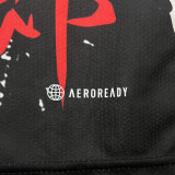 2024 Japan Special Edition Fans Soccer Jersey