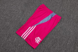 2025/26 Flamengo Rose Red Training Jersey(A Set)