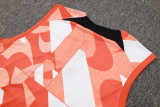 2025 In Milan  Vest Training Jersey(A Set)