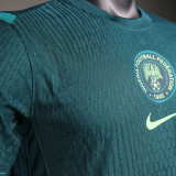 2025/26 Nigeria Away Green Player Version Soccer Jersey