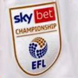EFL CHAMPIONSHIP Ptach 右袖 英冠臂章    (You can buy it Or tell me to print it on the Jersey )