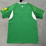 2025/26 Newcastle Away Green Fans Soccer Jersey