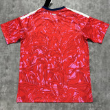 2026/27 Costa Rica Home Red Fans Soccer Jersey