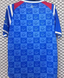 2025/26 FC Hansa Rostock Home Fans Soccer Jersey