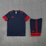 2025/26 AD Sapphire Blue Training Jersey(A Set)