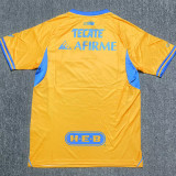 2025/26 Tigres Home Yellow Fans Soccer Jersey