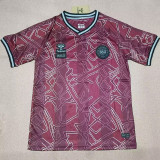 2025/26 Denmark Home Fans Soccer Jersey