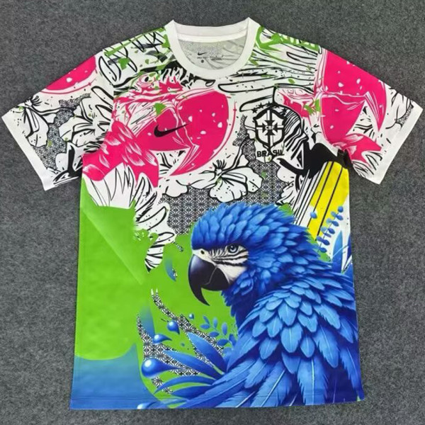 2025/26 Brazil Special Edition Fans Soccer Jersey