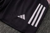 2025/26 ARS Grey Purple Training Jersey(A Set)