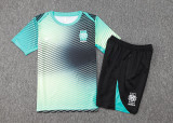2025  South Korea Lake Blue Training Jersey(A Set)