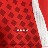 2024/25 Chile Home Red Fans Soccer Jersey