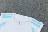 2026/27 Argentina White Vest Training Jersey (A Set)