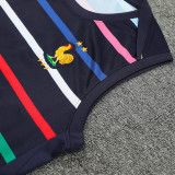 2024/25 France  Vest Training Jersey(A Set)