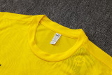 2025/26 BVB  Yellow Vest Training Jersey(A Set)