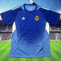 2025/26 Venezuela Blue GK Fans Soccer Jersey